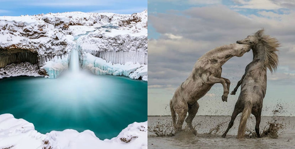 Неужели такая красота действительно существует на Земле? Настоящие шедевры с фотоконкурса Nature Conservancy Photo Contest