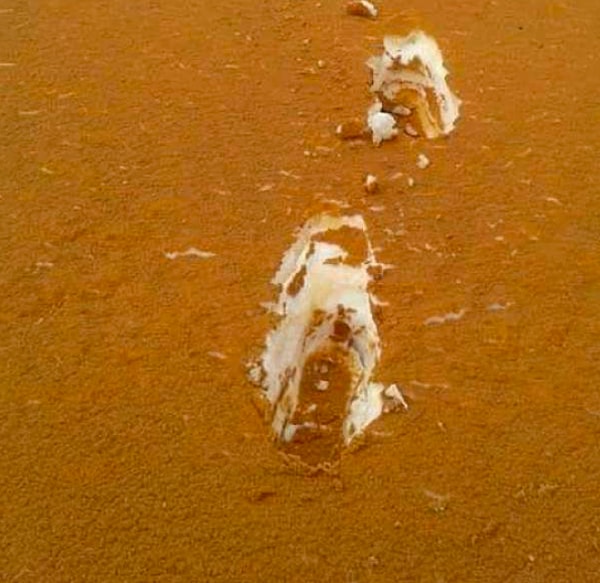 6. Терамису?