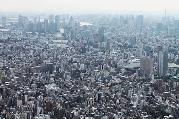 11. Какая из нижеперечисленных стран имеет самый высокий уровень урбанизации?