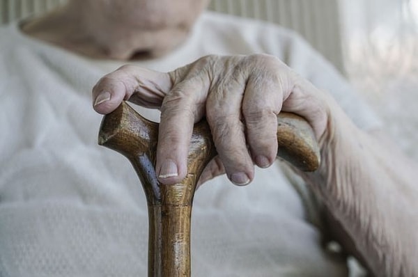 12. Для каких стран характерна высокая доля населения пожилого возраста?