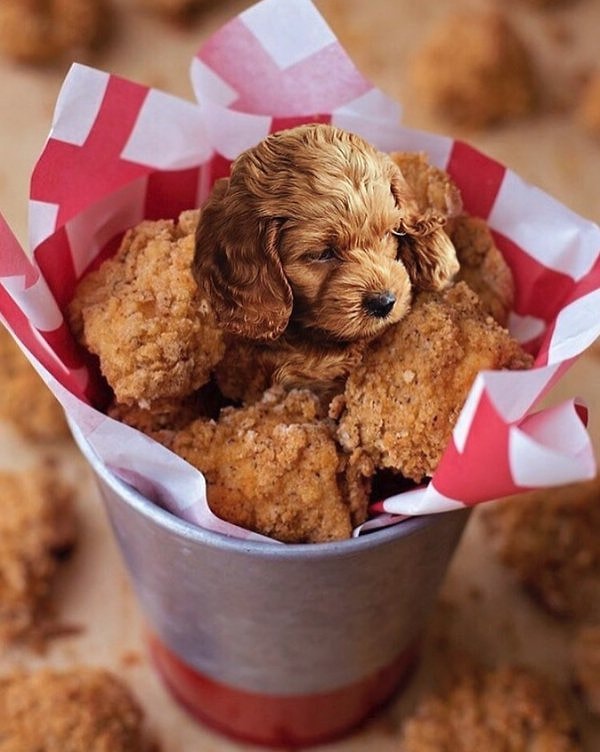 2. Его создатели видят песиков абсолютно в каждом блюде