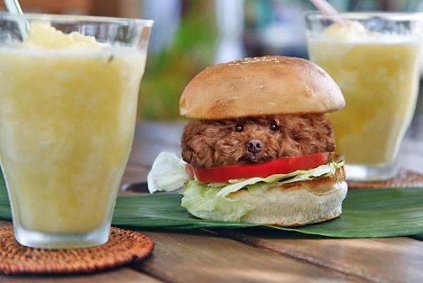 4. Всего за полгода на аккаунт подписались около 430 тысяч человек