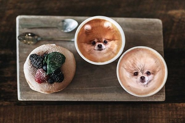 8. Они могут возникать как у психически здоровых людей, так и сопровождать множество психических заболеваний