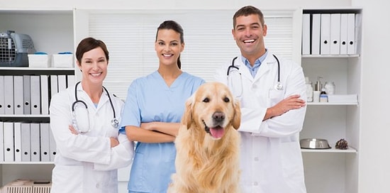 Veterinerlik 2018 Taban Puanları ve Başarı Sıralamaları