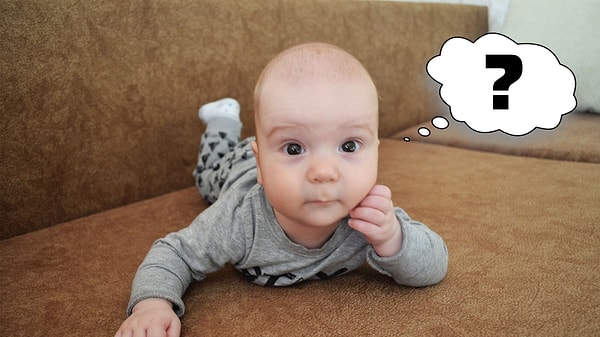 10. И последний вопрос! Как называется животное, у которого папа - жеребец, а мама - ослица?