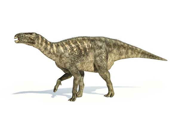 5. В 2000 году Дисней сняли целый фильм об этих травоядных.