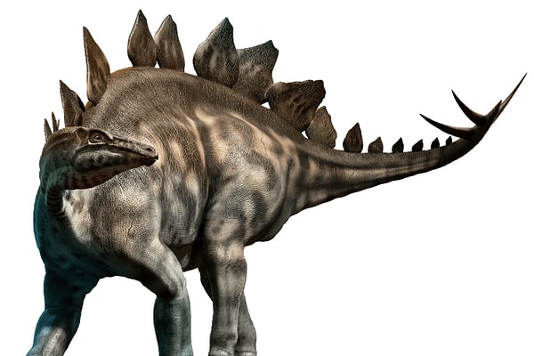 7. Помните мультик "Земля до начала времен"?