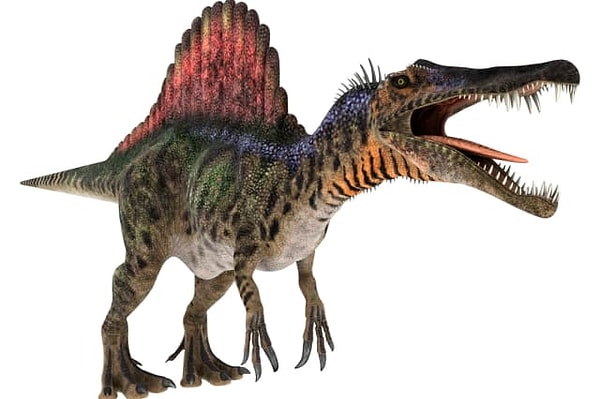 10. Этот крупный плотоядный динозавр прославил "Парк Юрского периода 3".