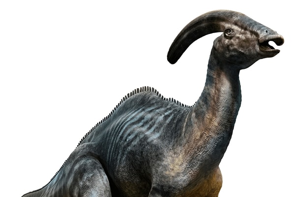 12. Наиболее известный гадрозавр с носом-уточкой - это...