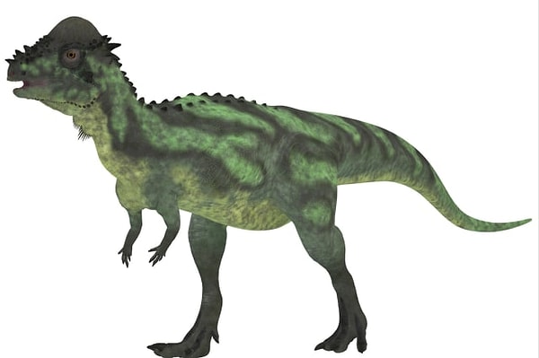 14. Придется постараться, чтобы угадать этого парня.