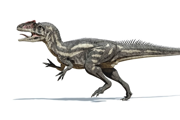 15. Еще один знаменитый двоюродный брат Тираннозавра: