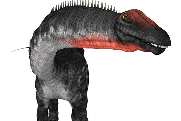 16. А это родственник брахиозавра: