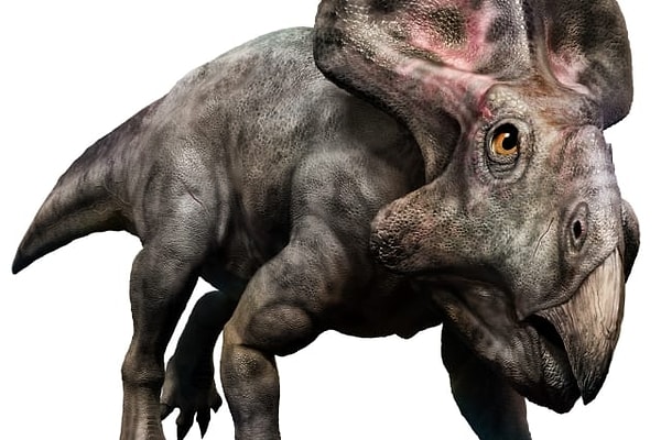 18. А кто у нас этот парнишка?