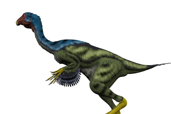 19. Уникальный хищник, очень похожий на современных казуаров: