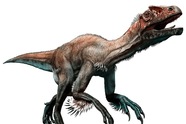 22. Крупнейший из известных представителей семейства рапторов: