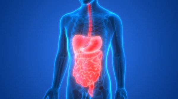 4. А это какая?