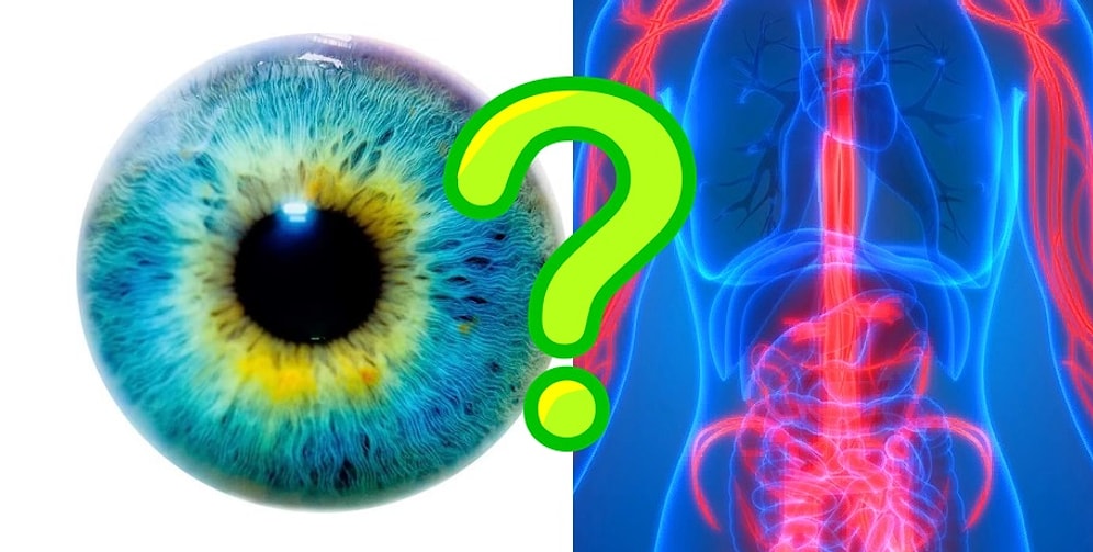 Докажите, что вы знаете о своем теле хоть что-то, пройдя наш плевый тест