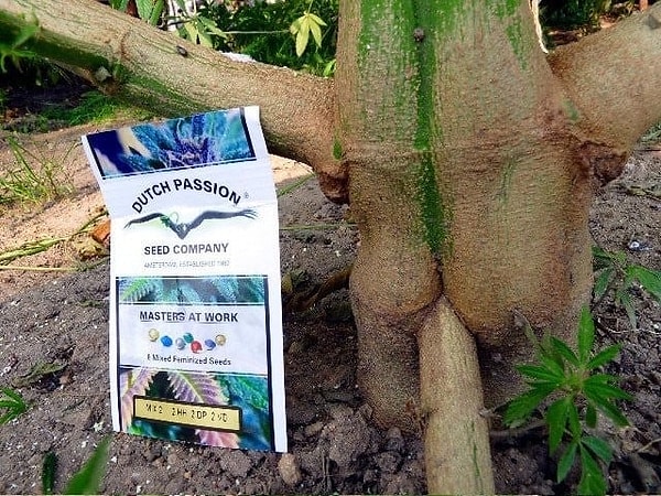 3. 😳😳😳 Прям как из фильмов для взрослых