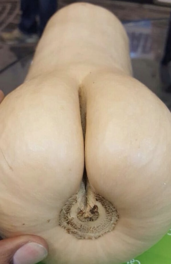 5. Что?! Это просто тыква, а не то, что вы себе там нафантазировали!