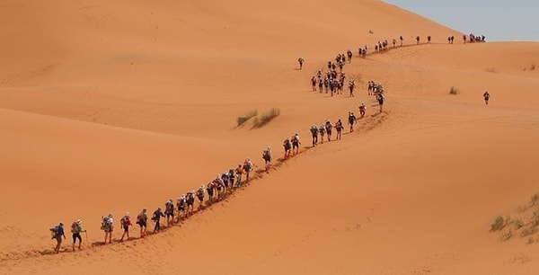 6. На каком континенте расположена самая крупная в мире пустыня?