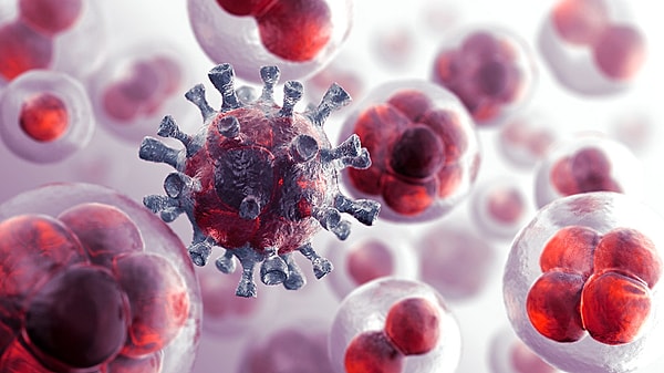 9. Передается ли половым путем рак?