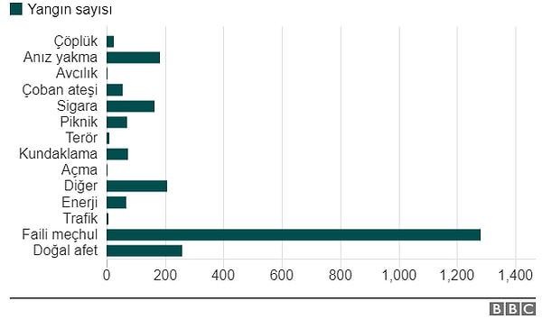 2017 yılında çıkan 2 bin 411 orman yangınının bin 280'inin nedeni tespit edilemedi.