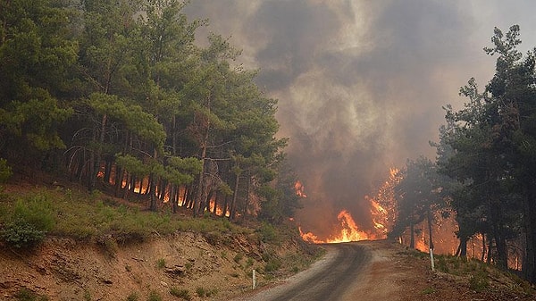 Antalya, kundaklamada birinci sırada.