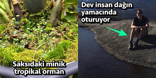 Yalnızca Küçük Su Birikintilerini 'Karıncaların Denizi' Olarak Hayal Edenlere Hitap Eden 17 Küçük Dünya