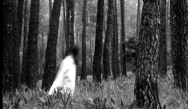 12. И последнее: если ночью на кладбище вы услышите, как плачет девочка, вы убежите прочь?