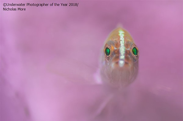 29. "Красотка в розовом"