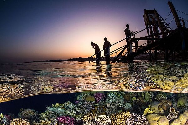 28. "Вечернее плавание"