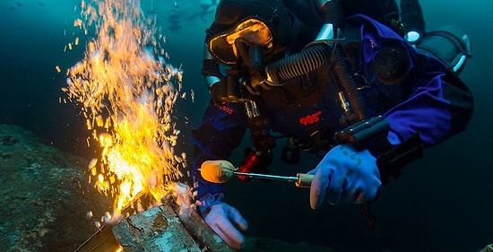 Обьявлены победители фотоконкурса "Underwater Photographer of the Year 2018"
