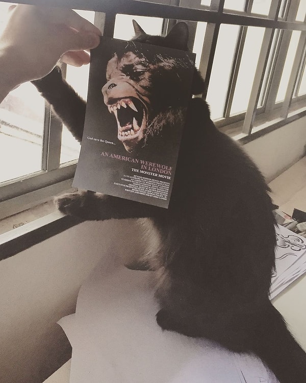 4. "Американский оборотень в Лондоне"