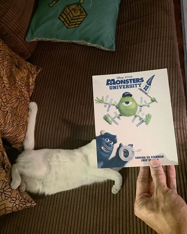 8. "Университет монстров"