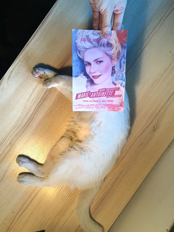 11. "Мария-Антуанетта"