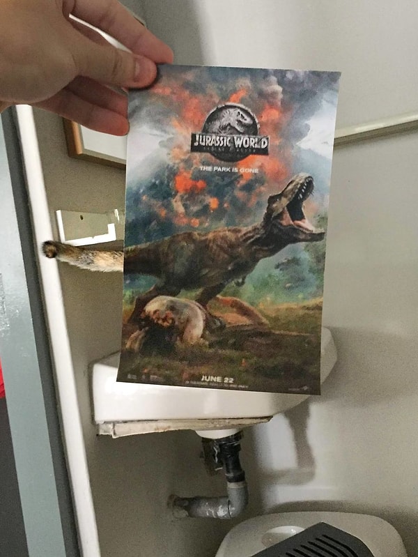 13. "Мир Юрского периода"