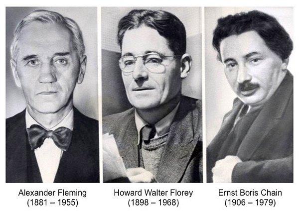 1940 yılında Oxford Üniversitesi’nde çalışmalarını sürdüren iki bilim adamı, Avusturya asıllı Howard Florey ve Alman asıllı Ernst Chain, penisilinin özelliklerinin kalıcı olmasını sağladılar.