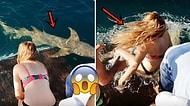 Köpek Balığını Eliyle Beslemeye Çalışırken Elini Kaptırıp Suyun İçine Sürüklenen Kadın