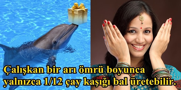 İddia Ediyoruz! Öğrenir Öğrenmez Dünyaya Karşı Bakış Açınızı Sonuna Kadar Değiştirecek 21 Bilgi