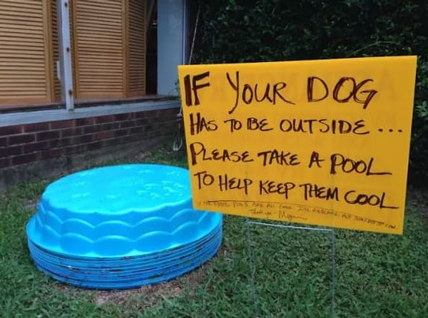 12. «Если ваша собака живет на улице, возьмите бассейн, чтобы она могла охладиться»