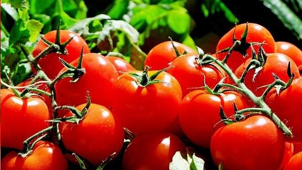 17. Son kullanma tarihi 10 gün geçmiş domates