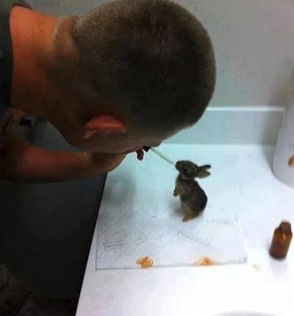 21. «Этот морпех нашел 4 крольчат рядом с умершей крольчихой и решил присмотреть за ними, пока они не станут достаточно взрослыми для возвращения в дикую природу»