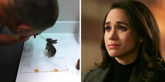 Подборка фотографий, которая доказывает, что у человечества есть шанс