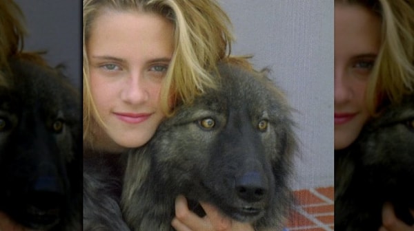 4. Кристен Стюарт и волки