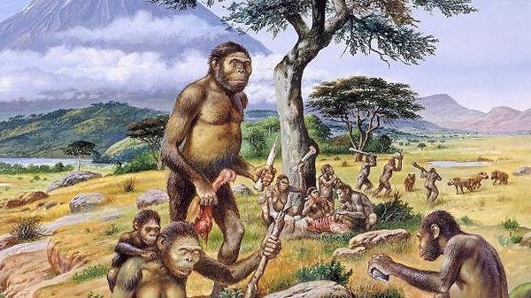 6. Какую древнюю профессию вы бы выбрали?