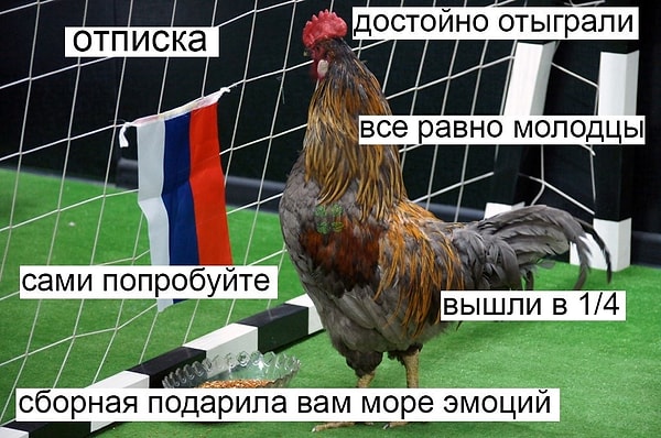 21. Всё равно молодцы! 👏