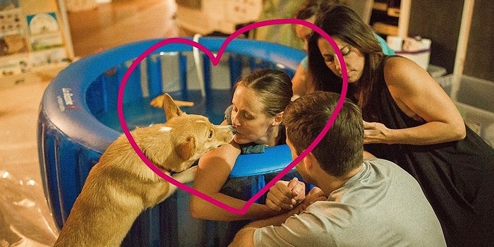 Такое большое «собачье сердце»: Собака поддерживает свою хозяйку во время родов, словно человек!