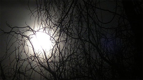 15. "Мой 4-летний сын обнимал меня утром (прижав свою голову к моей груди) и сказал: "Папа, у тебя тьма в сердце."