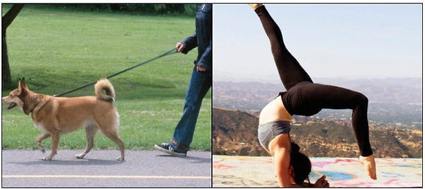 3. Какое занятие сжигает больше калорий?