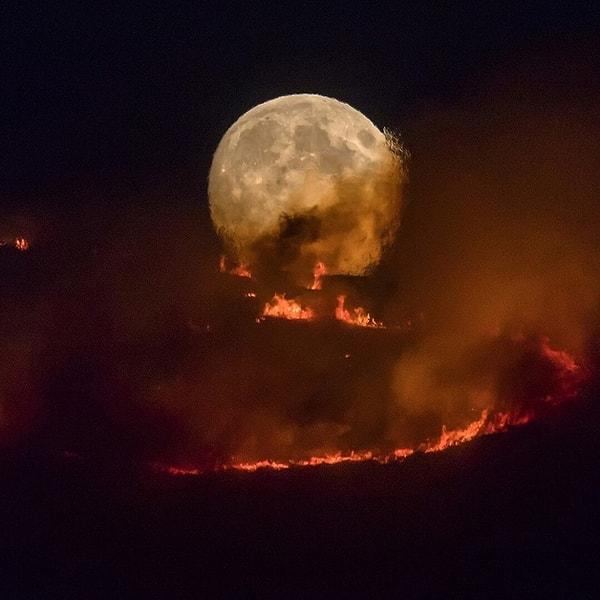 1. Manchester yakınlarındaki Heath Fields bölgesinde çıkan bir yangının arka planındaki dolunay